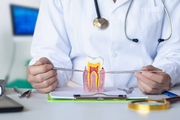 Tooth Infection Emergency Dentist in SC